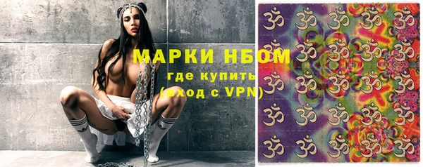 гидра Майский