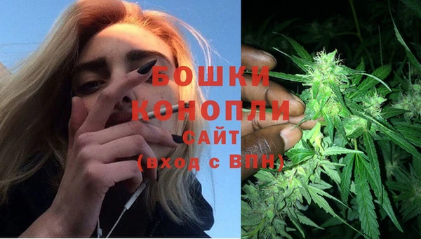 прущая мука Магас