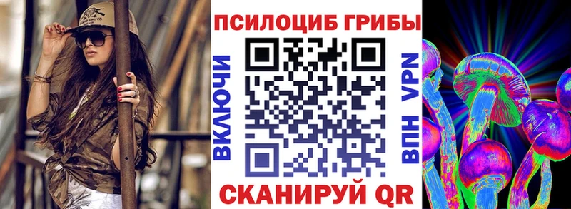 Купить  Камызяк  Галлюциногенные грибы Psilocybe 